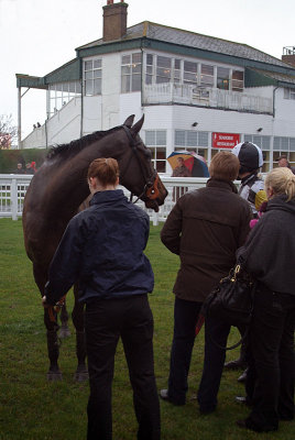 Den of Iniquity in the Winners Enclosure