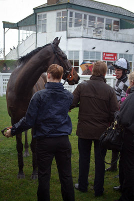 Den of Iniquity in the Winners Enclosure 03