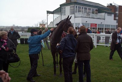 Den of Iniquity in the Winners Enclosure 04