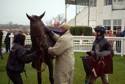 Karasakal in the Winners Enclosure 02