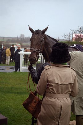 Karasakal in the Winners Enclosure 04