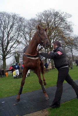 Masashi in the Parade Ring 02