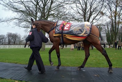 Spider Boy in the Parade Ring