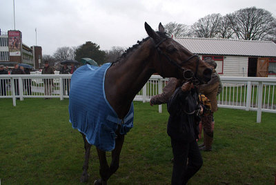 Spider Boy in the Winners Enclosure