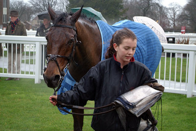 Spider Boy in the Winners Enclosure 02