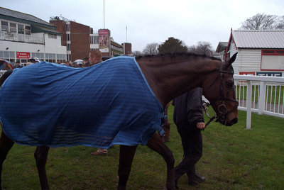 Spider Boy in the Winners Enclosure 03