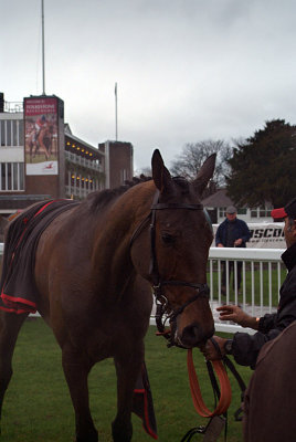 The Jazz Musician in the Winners Enclosure