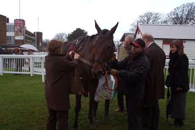 The Jazz Musician in the Winners Enclosure 04