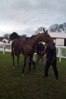 The Jazz Musician in the Winners Enclosure 06