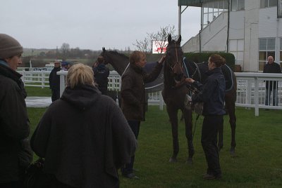 Den of Iniquity and Numide in the Winners Enclosure 02