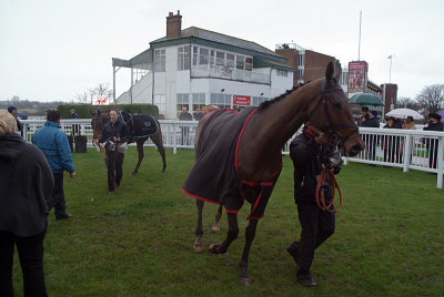 Den of Iniquity and The Jazz Musician in the Winners Enclosure 04