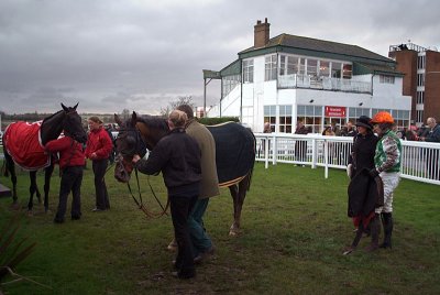 Natural Action and English Jim in the Winners Enclosure 02