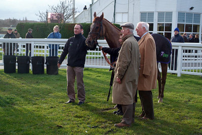 Ponchatrain in the Winners Enclosure 02