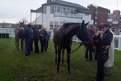 Quartano and Lord Singer in the Winners Enclosure