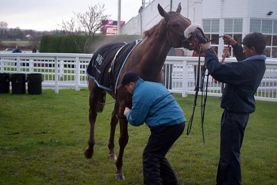 Quartano in the Winners Enclosure 09