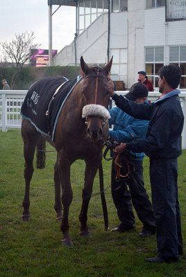 Quartano in the Winners Enclosure 11