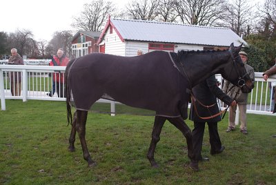 The Jazz Musician in the Winners Enclosure 07