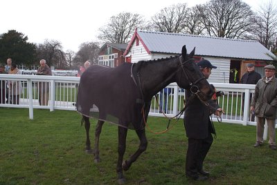 The Jazz Musician in the Winners Enclosure 08