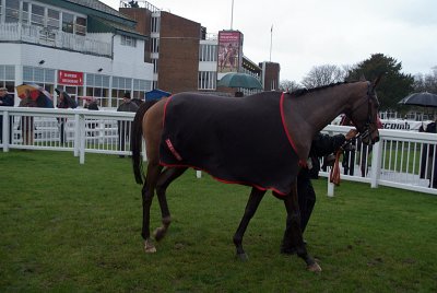 The Jazz Musician in the Winners Enclosure 10