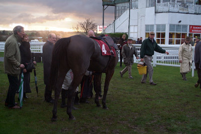 Enroblim Trop in the Winners Enclosure