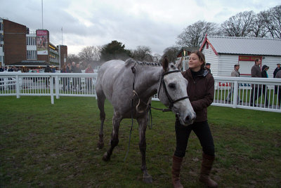 Dolly Grey in the Winners Enclosure