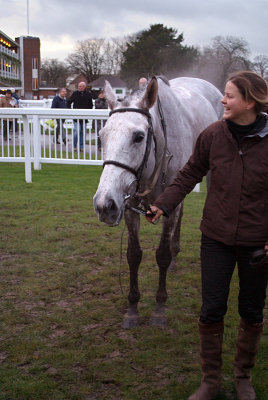 Dolly Grey in the Winners Enclosure 03