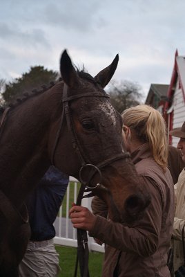 Helm in the Winners Enclosure 05