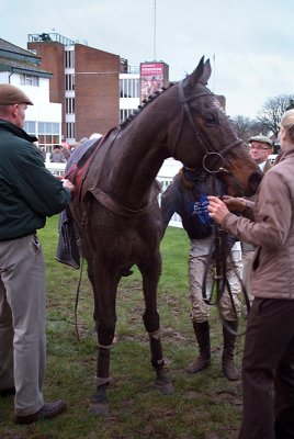 Helm in the Winners Enclosure 08