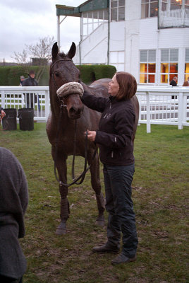 Malindi Bay in the Winners Enclosure