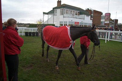 Natural Action in the Winners Enclosure