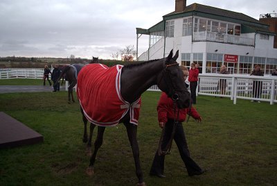 Natural Action in the Winners Enclosure 04
