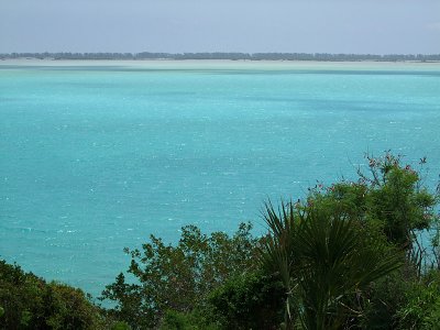 Blue Sea and Green Vegetation Middle Caicos.jpg