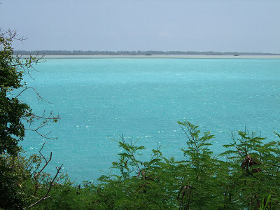 Blue Sea and Green Vegetation Middle Caicos 02