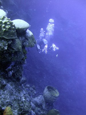 Diving Wall at Amphitheatre