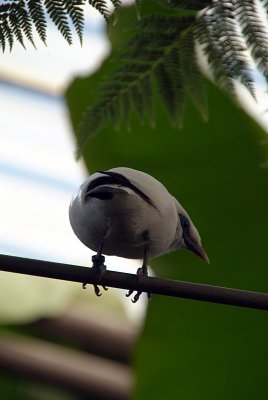 g3/26/152326/3/121679078.rHY5mNUp.jpg