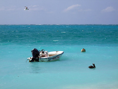 Laughing Gull Pelican and Rescue Boat Grace Bay