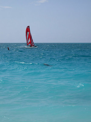 Sailing in Grace Bay 09