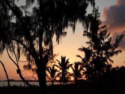 Sunrise through the Trees Grace Bay