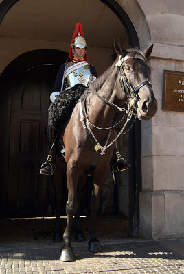 Horse Guard on Chestnut Horse