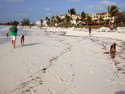 Walking the Dog Grace Bay Beach 02