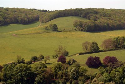 Temple Ewell-Lydden Nature Reserve