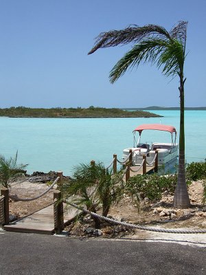 Boat Palm Tree and Inlet with Turquoise Water