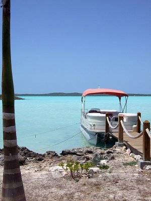 Boat Palm Tree and Inlet with Turquoise Water 02