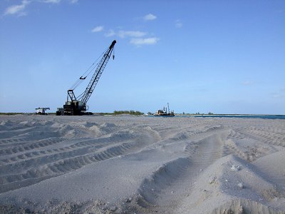 Crane on Sand
