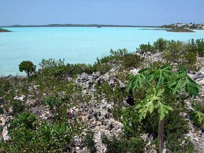 Inlet with Turquoise Water 02