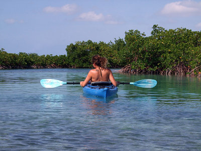 Kayaking Through Mangroves 02