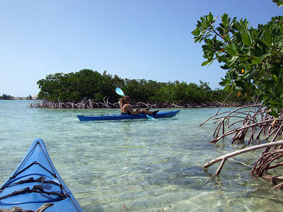 Kayaking Through Mangroves 04