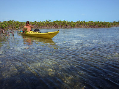 Kayaking Through Mangroves 07