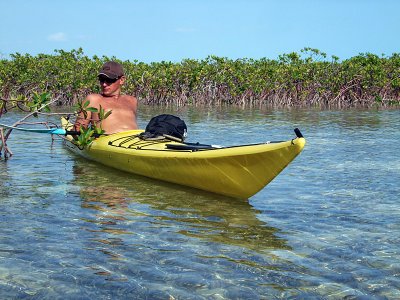 Kayaking Through Mangroves 08