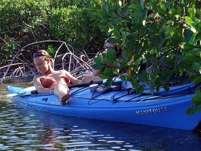 Kayaking Through Mangroves 09